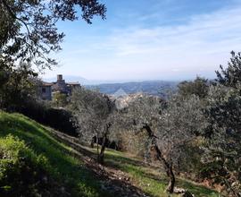 TER. RESIDENZIALE A POGGIO CATINO