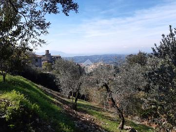 TER. RESIDENZIALE A POGGIO CATINO