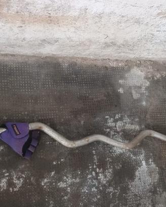 Bilanciere E Z x pesi