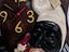 Immagine 6