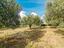 Immagine 29