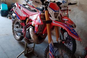 beta 300 targato
