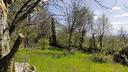 terreno-di-15000-m²-a-castiglione-delle-stiviere