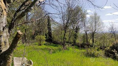 Terreno di 15000 m² a Castiglione delle Stiviere