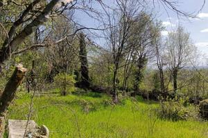 Terreno di 15000 m² a Castiglione delle Stiviere