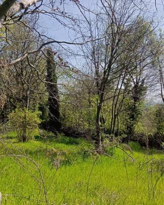 Terreno di 15000 m² a Castiglione delle Stiviere