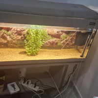 Acquario pet company