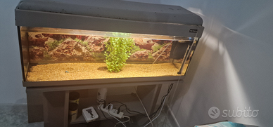 Acquario pet company