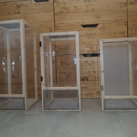 Teca terrario insetti rettili fasmidi