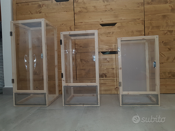 Teca terrario insetti rettili fasmidi