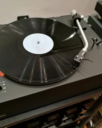 Braun ps 500
