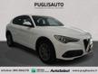 ALFA ROMEO Stelvio 2.2 TD 160 CV AT8 RWD Business