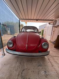 volkswagen maggiolone