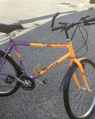 bicicletta MTB