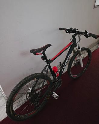 Canyon MTB