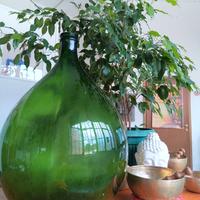 Damigiana in vetro verde 50 Litri – vintage