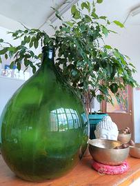 Damigiana in vetro verde 50 Litri – vintage