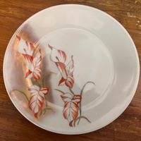 Piatti dipinti a mano da collezione