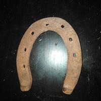 Ferri da cavallo e da bue  antichi