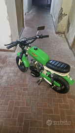 Minimoto morini