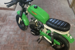 Minimoto morini