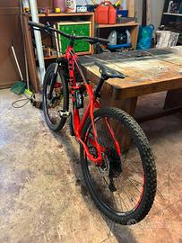 Olmo Turchino MTB 29