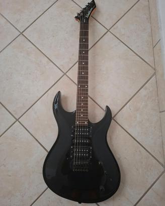 Washburn WM10V HM Series