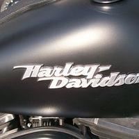Accessori Harley Softail Custom