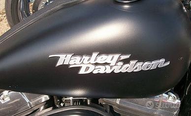 Accessori Harley Softail Custom