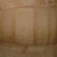 Botte per vino,pompa con tubi, pompa a
