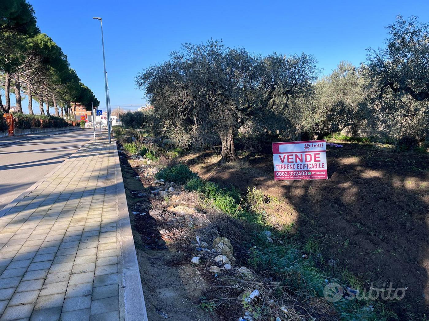 Terreno Residenziale San Severo - Vista 3