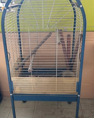 Gabbia pappagalli