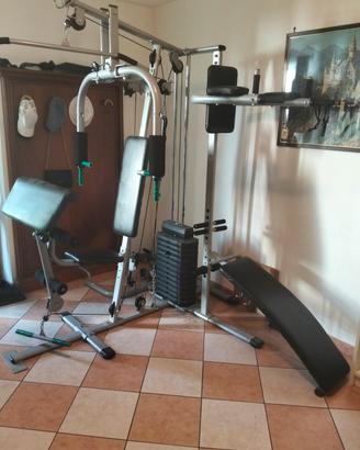 Palestra 