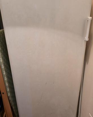 congelatore verticale Rex RV20SE
