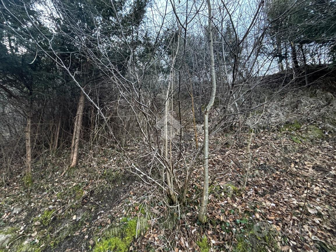 TER. AGRICOLO A LIERNA - Vista 4