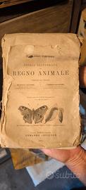 regno animale