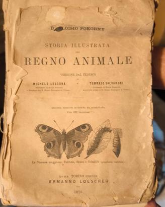 regno animale