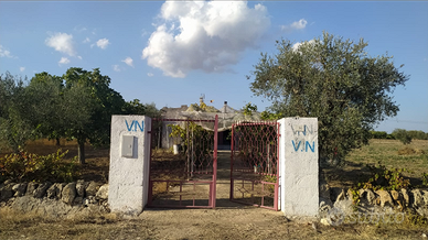 Terreno con fabbricato e terreno rustico