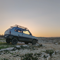 Fiat Panda 4x4 steir punch