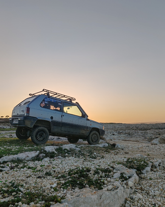 Fiat Panda 4x4 steir punch