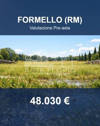 Immobile in asta di 31053 m² a Formello