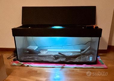 Terrario/teca per rettili in vetro