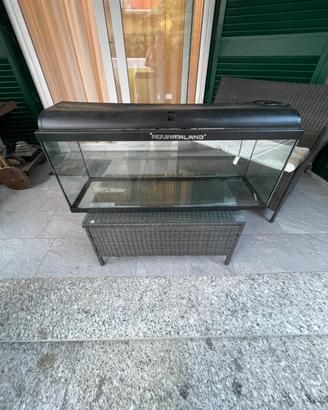 Acquario