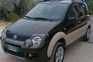 Panda 4x4 Cross usata