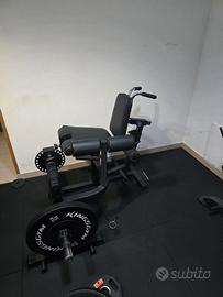 Leg Extension/Curl + Calf Raise Kingsgym