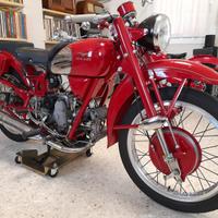 Falcone Airone Lambretta Vespa Torpado Galletto