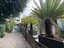casa-indipendente-di-600-m²-con-piu-di-5-locali-a-