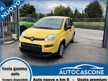 FIAT Panda 3ª serie Panda 1.0 FireFly S&S Hybr...