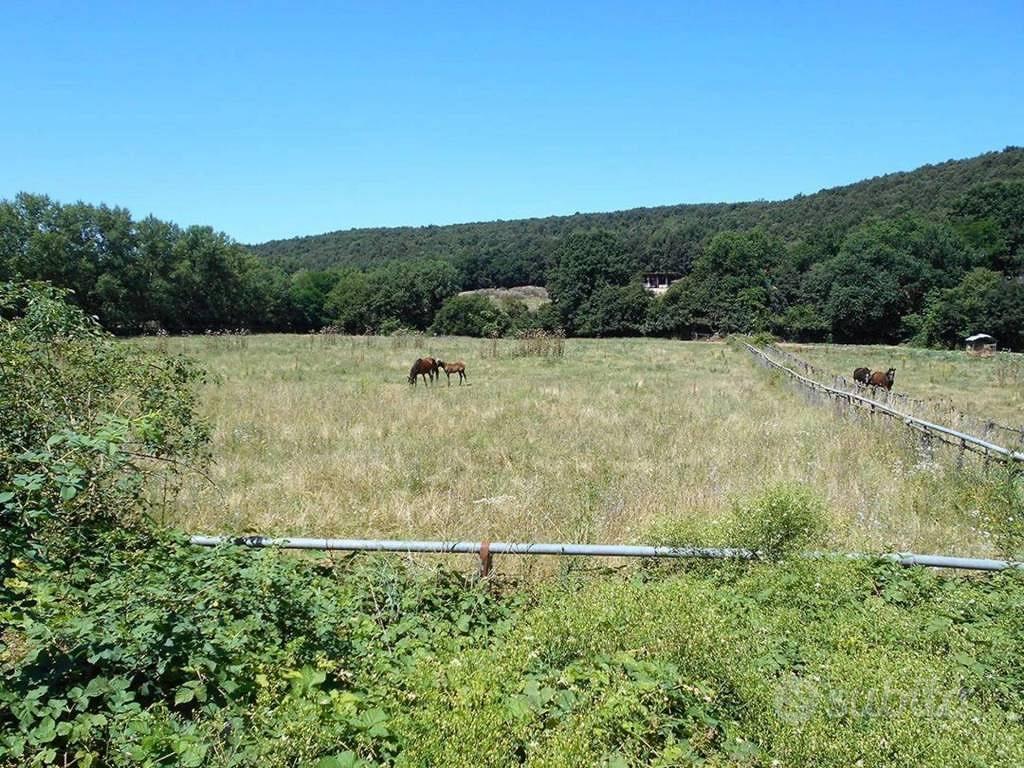 Immobile in asta di 357673 m² a Siena - Vista 3