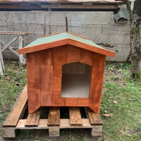 Cuccia cucce per cane e gatto